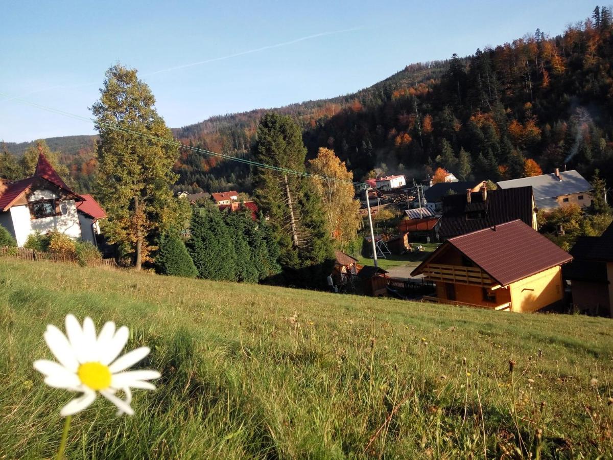 Domek alpejski Maja *